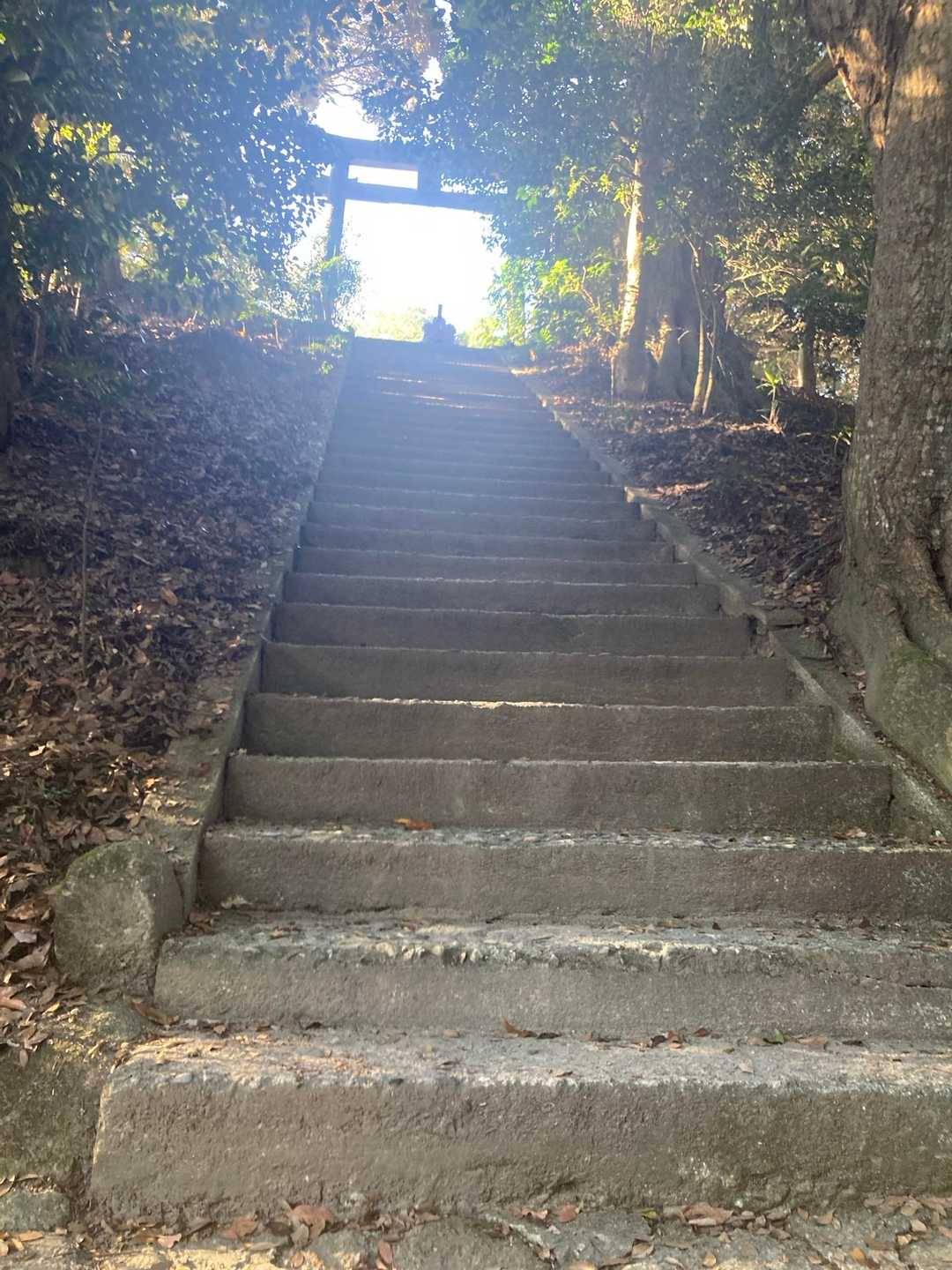叶岳・高地山 ピストンルートの写真