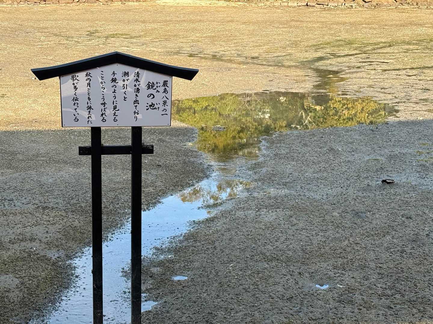潮が引いて鏡の池が現れていました！