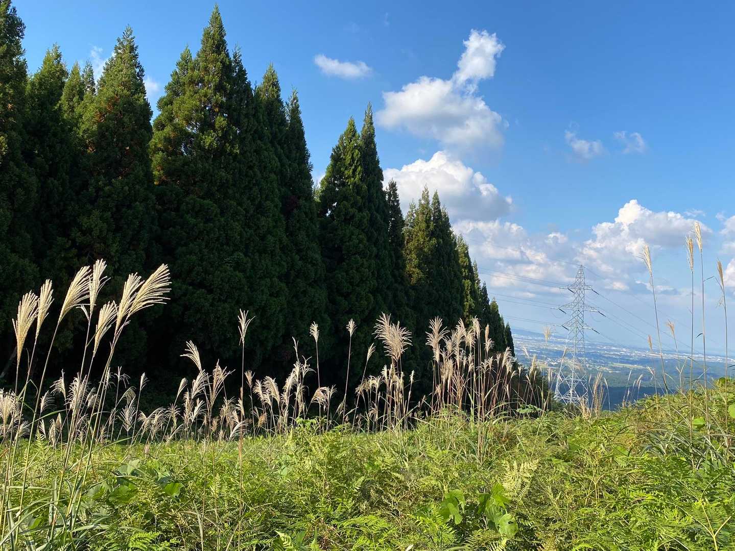 鉢伏山 往復コースの写真