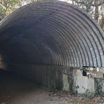 道の下のトンネルくぐって