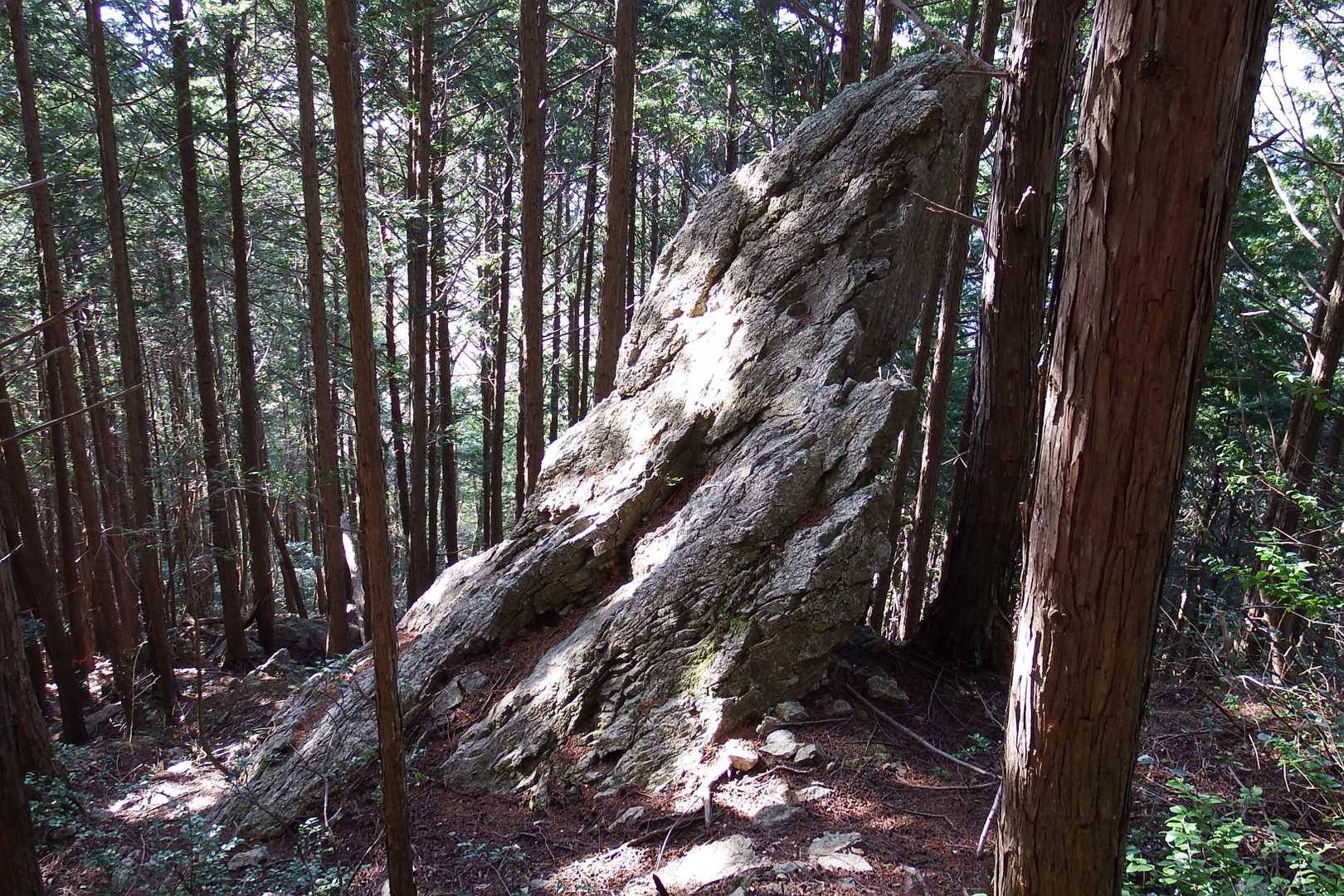 ん？すごいね
