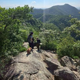 どどすこくん&えふくんに
目指す高御位山⛰️の位置を伝えたよ✨👆🏻