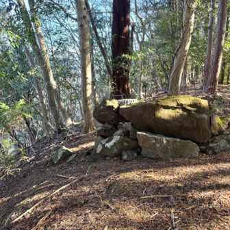 牛岩なるところ。牛というより、カエルかなぁ。笑