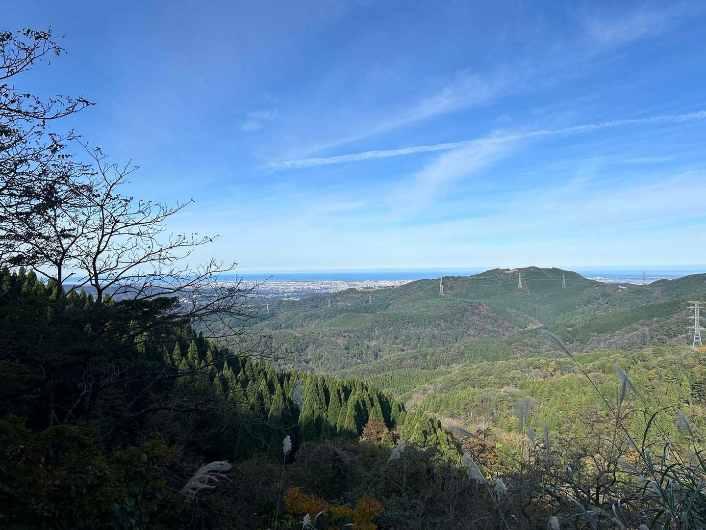 栃尾登山口-イワウチワの丘-奥医王山 往復コースの写真
