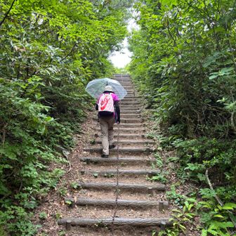 少し雨