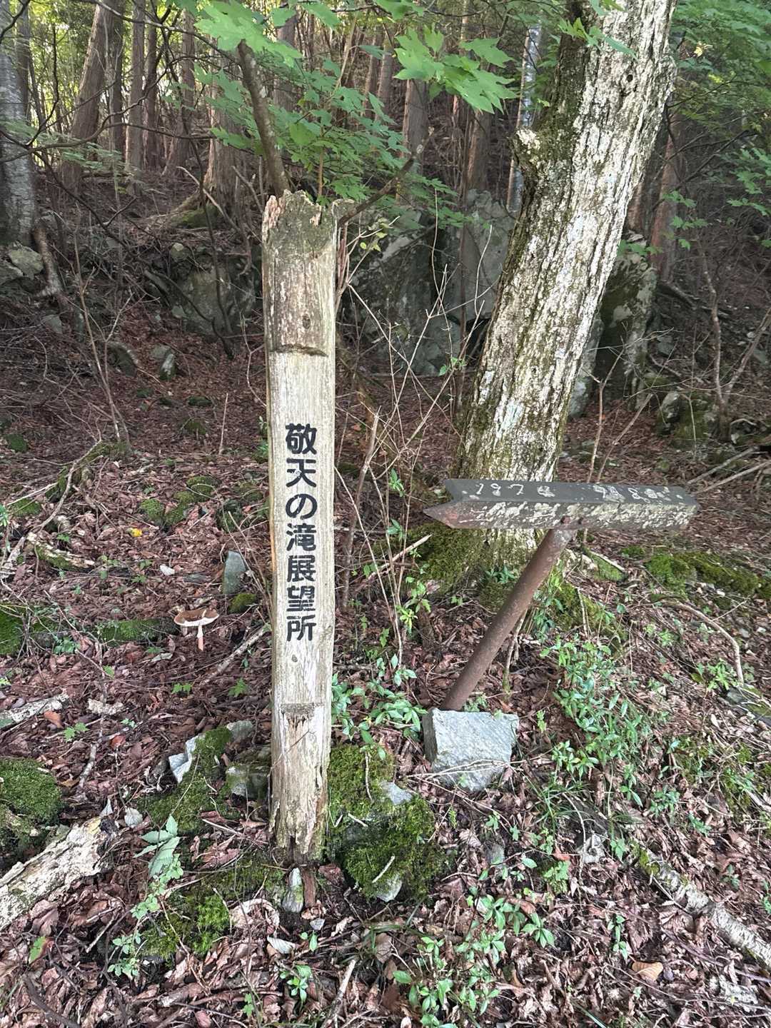 土居登山口-峨蔵越-二ッ岳 往復コースの写真
