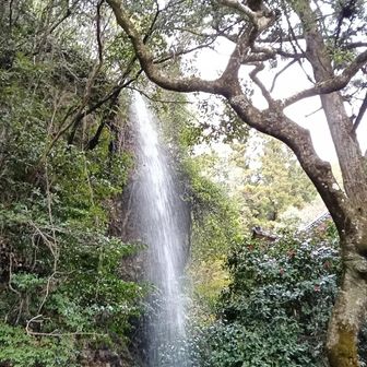 マイナスイオン