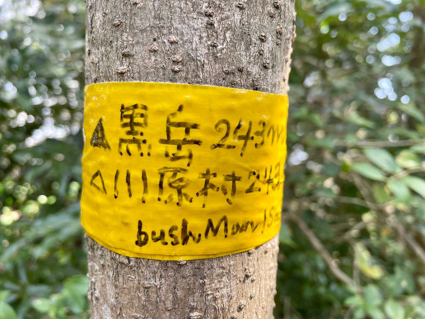 この標識、好き😊