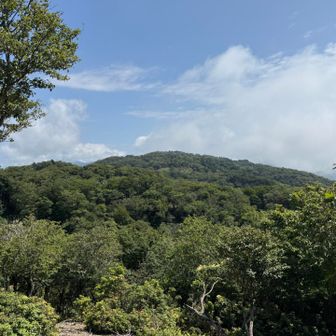 晴れてきました✨ 皆子山がでーんと横たわっています😆 京都最高峰とはいえ、北山は似たり寄ったりの山容が多くてなかなか「どの山」とわかる場所が少ないのが難