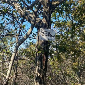 脇のルートでしたが、ここはロープ無しで気が許せない登りでした。後ろに落ちたら…
登り切るとすぐ山頂⛰️