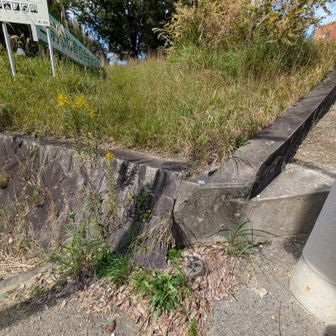下りて振り返る
初めて来た人は絶対わかりませんね😵
