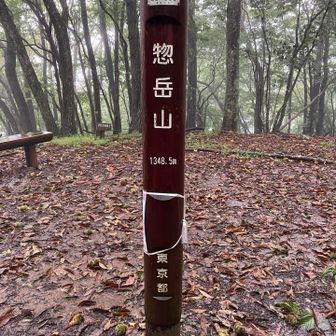 久しぶりの惣岳山