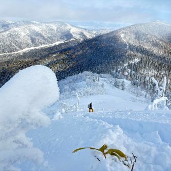 🦖っぽい自然の造形物に食べられそうなOさん😅
っていうか…登り返し長っ😆