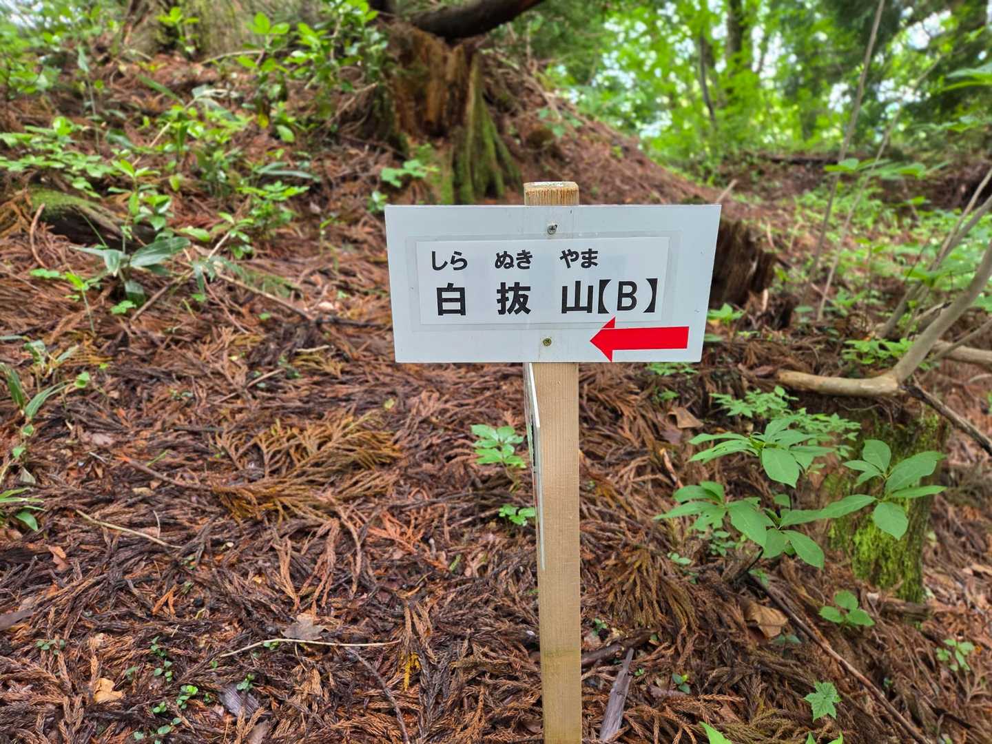 表示が所々にあります。