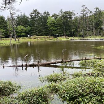 茶水の池に戻って来た。下山したらいい天気。登山あるあるですね