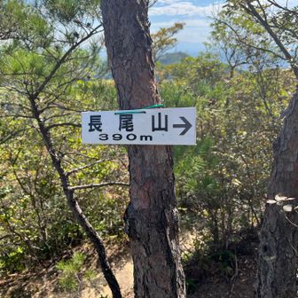 本日の第二ピーク　長尾山⛰️
ここもピークはルートから少し外れた場所にある