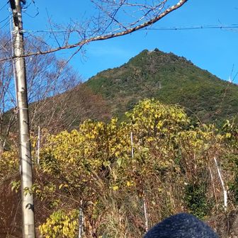 振り返ると天狗倉山✨

２時間前は.頂上の大岩からこの地‥北浦東町を眺めていました🤭