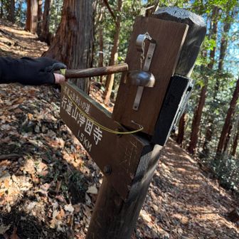 分岐
熊ベルだ🔔