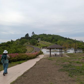 のんびり出来そうな公園
が、しかし、トンビが上空から狙ってます😨
油断できない