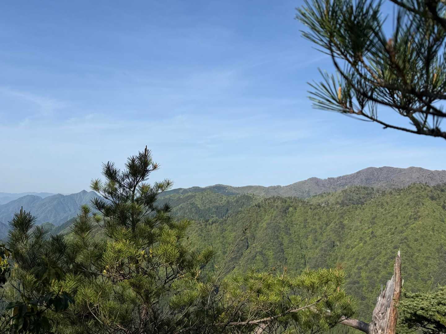 杉ヶ越登山口-傾山 往復コースの写真