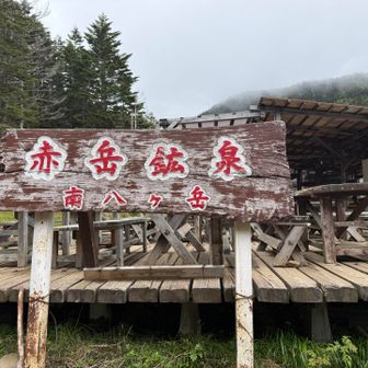 お邪魔しまぁす！
