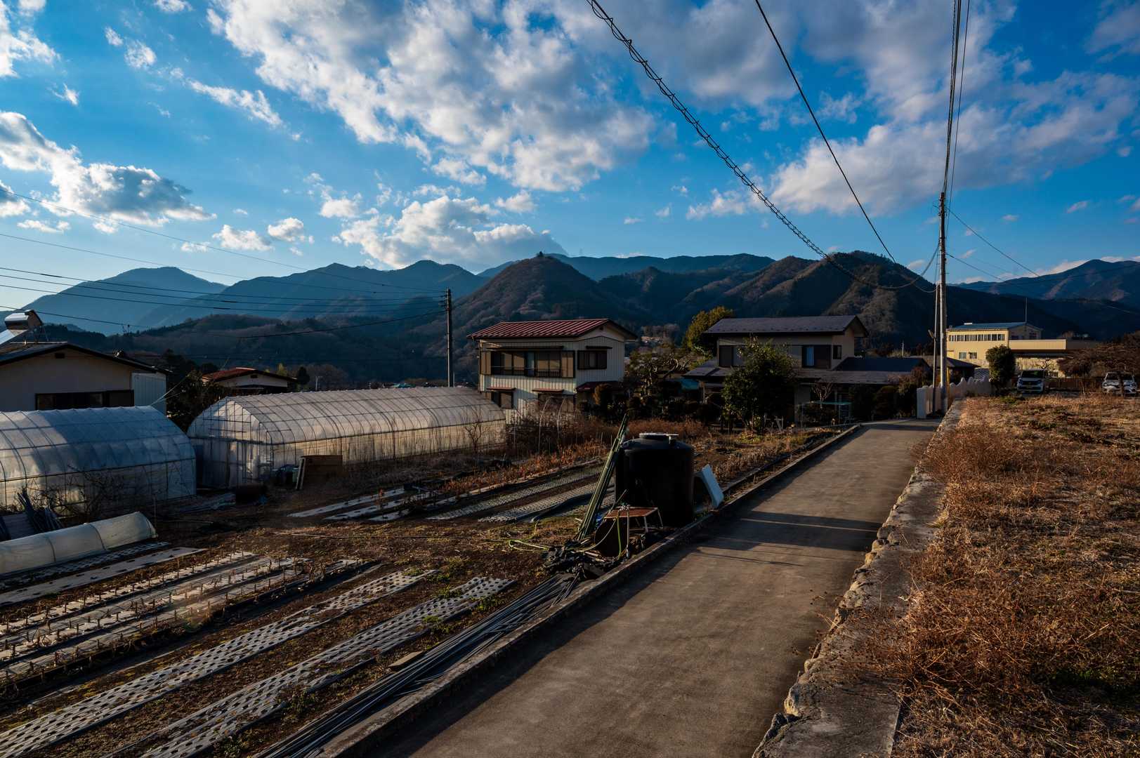 新井バス停-虎丸-能岳-八重山ハイキングコース登山口-大堀 縦走コースの写真