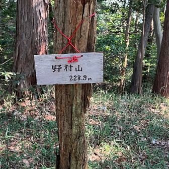 野村山山頂