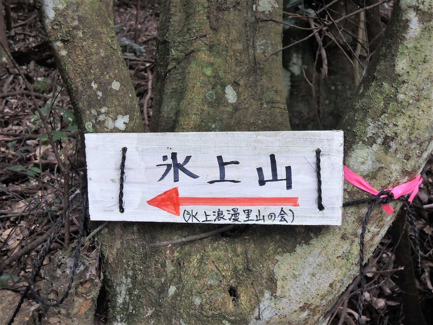 氷上山 往復コースの写真
