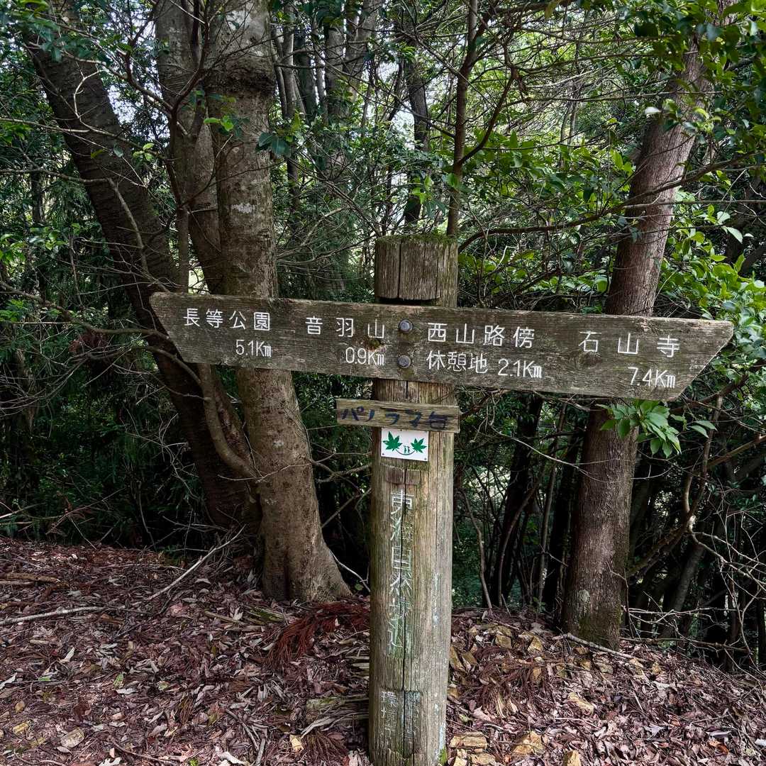 パノラマ台

「パノラマ」とは、視界を遮るものがない、
見渡す限りの広々とした風景や全景のこと