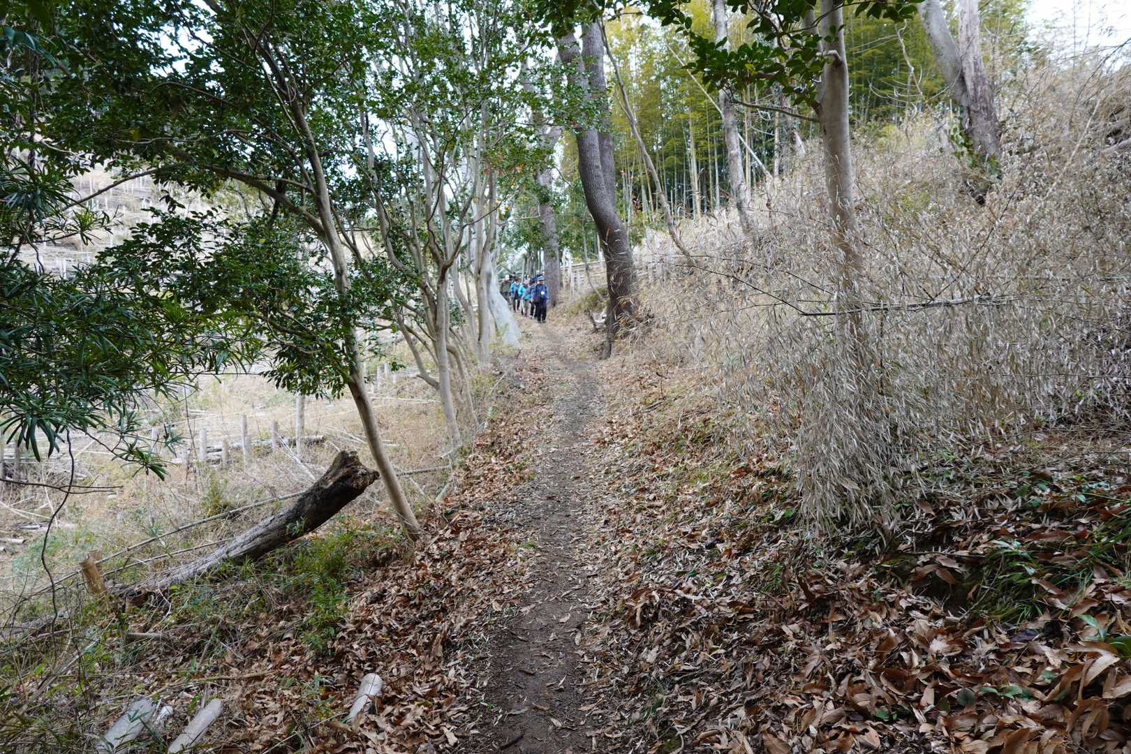 続々と下りてきます
すれ違い30人以上
ツアー客まで歩いてました

山高きが故に貴からず
でもこんな人気のお山とは露知らず