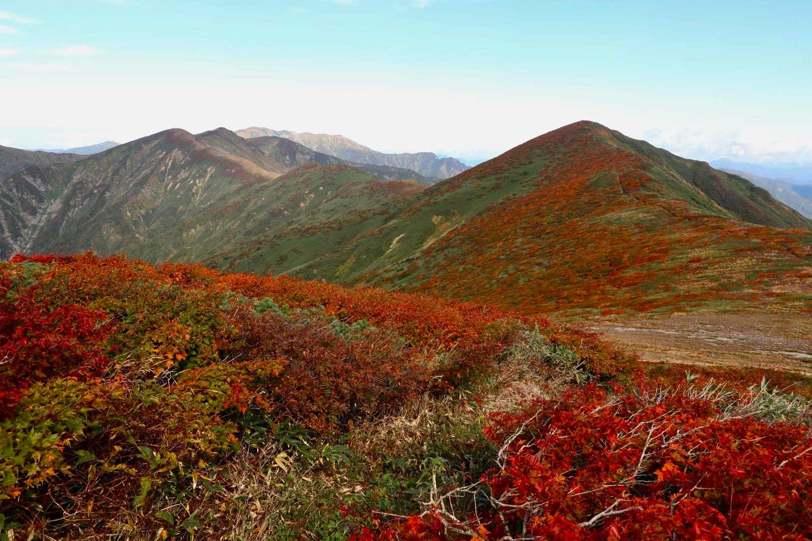 しばらく紅葉🍁が続きます