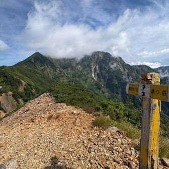 布引山は見えますが
鹿島槍ヶ岳山頂は
まだ雲の中😶‍🌫️
