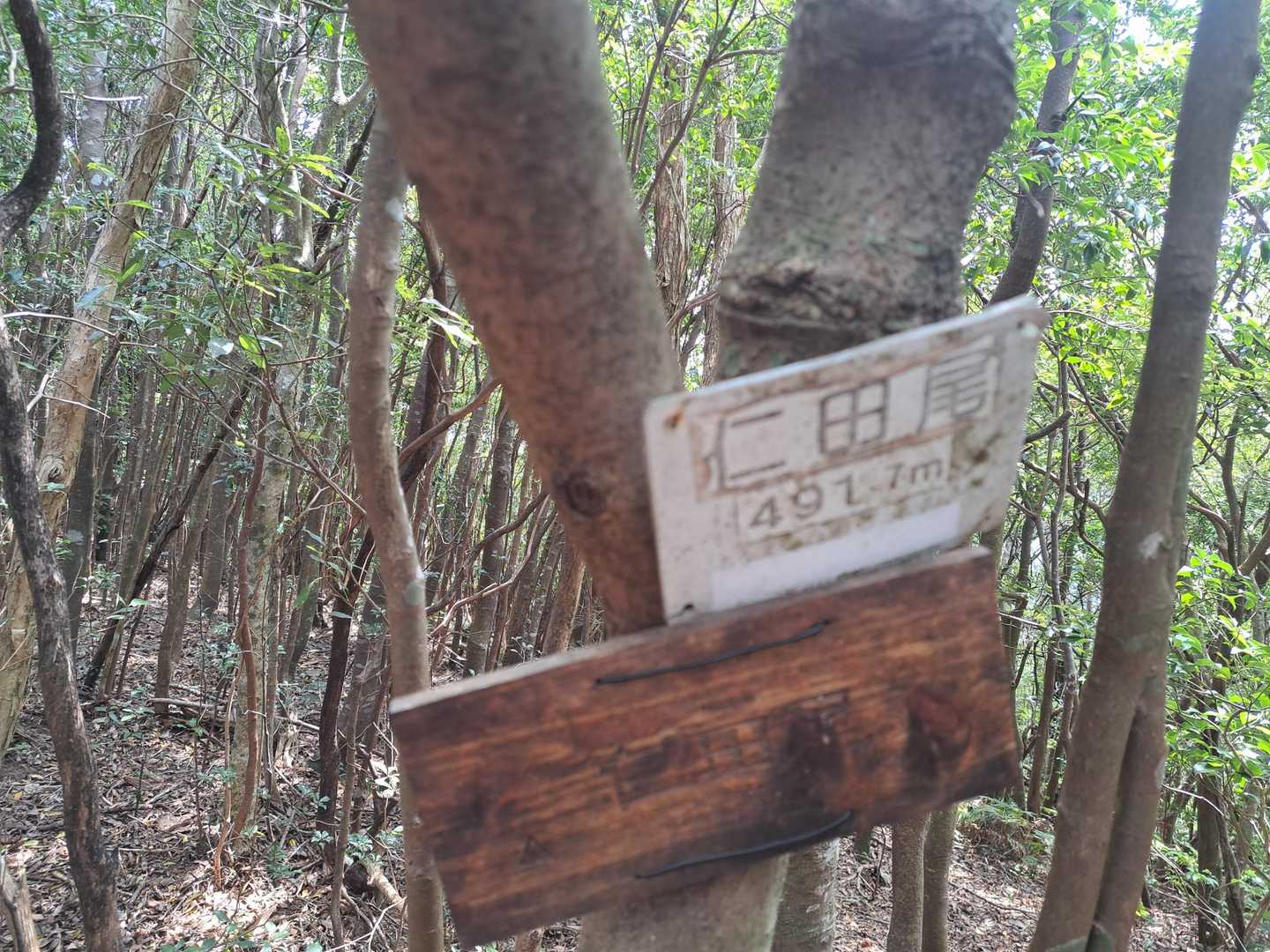 三座目？？