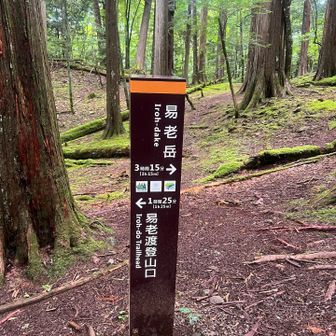 とりあえず易老岳へ。