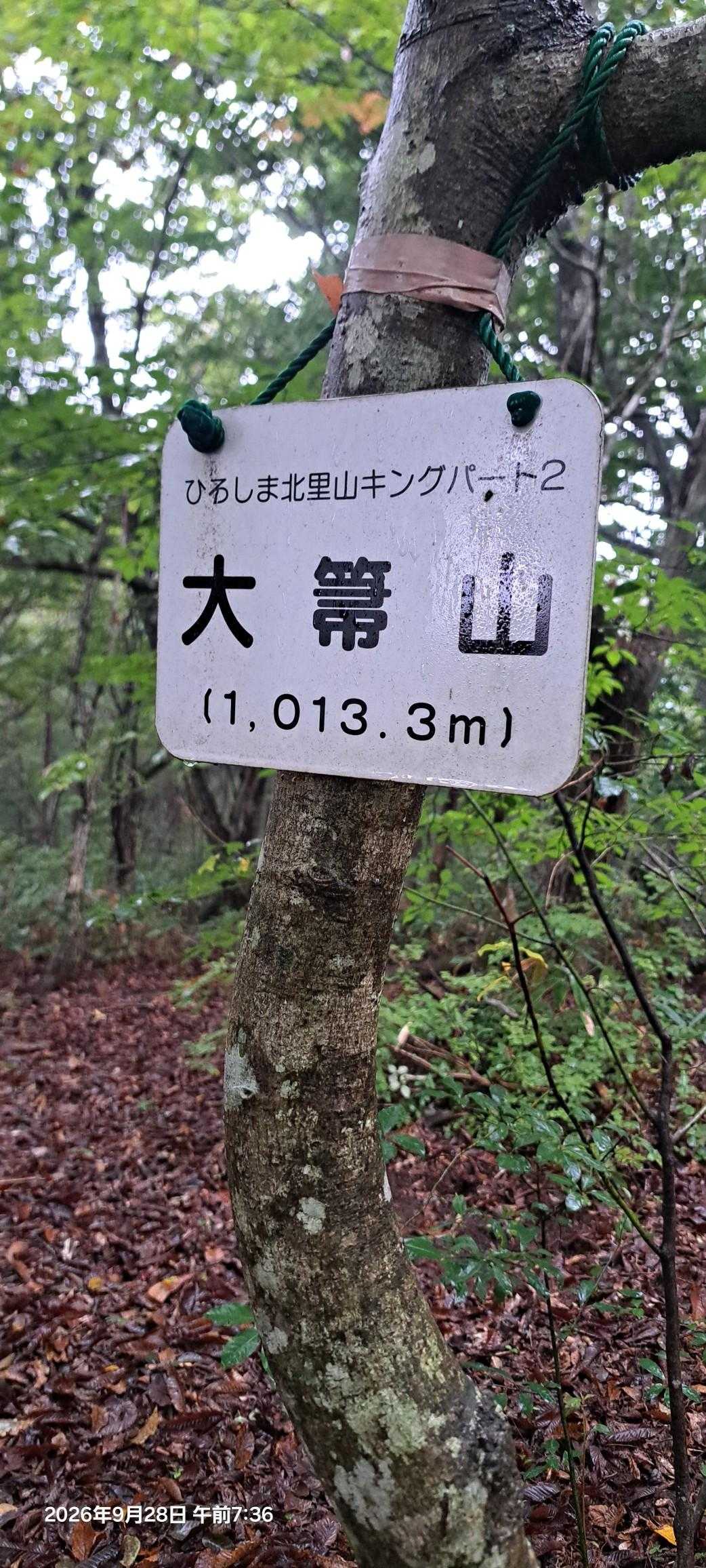 里キンはチャレンジしたことないです…😅