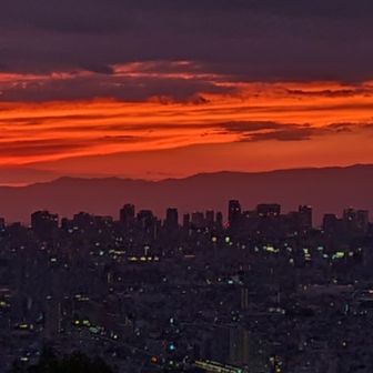 とても濃い