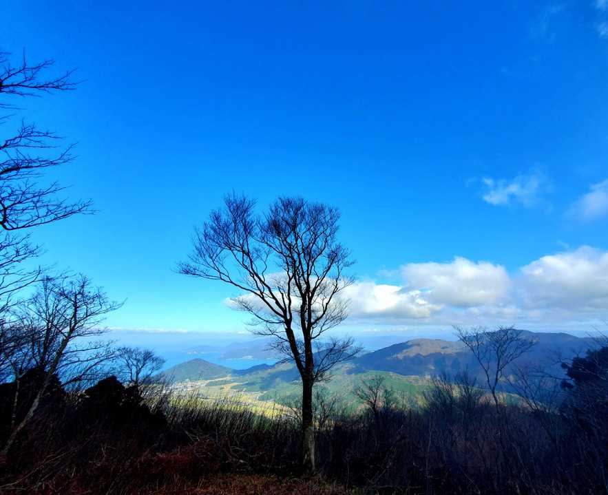 展望はこんな感じです