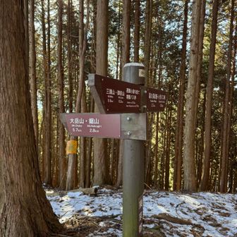 避難小屋方面からエスケープも出来る、、
バス停に出る
大岳山　5.7キロ
まだまだ遠い、、、

でも、行くと決めたから行く、、

避難小屋にトイレありの案内
未確認です