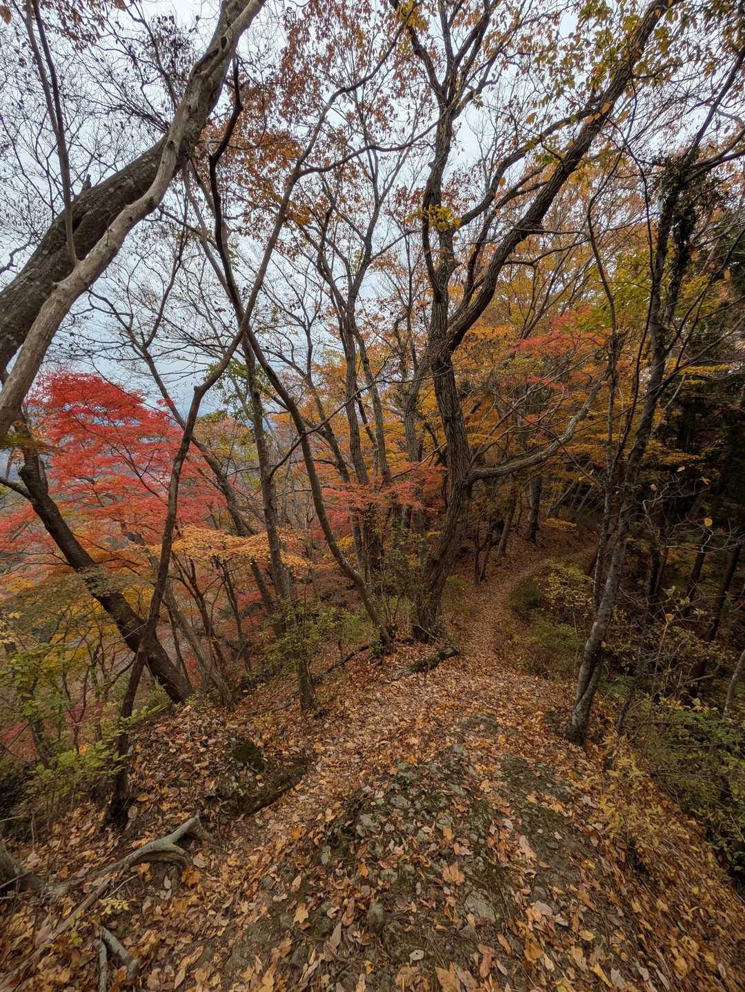 立神山-鍋転山-月居山-月居観音堂 周回コースの写真