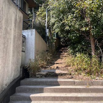 トレイルin⛰️