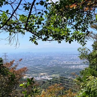 休憩所から名古屋方面🍁