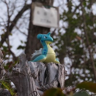 船谷山 
ラプラスにのって ♪～
ラプラスなら 舟の代わりになるよね