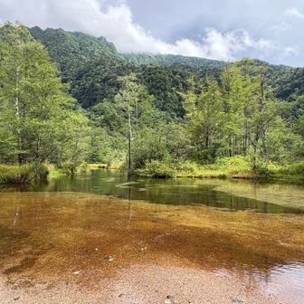 田代池、緑も水もめちゃ綺麗✨