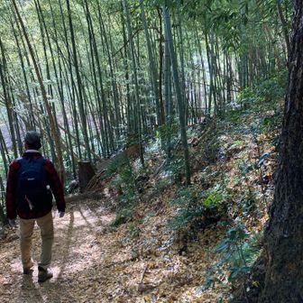 竹藪が見えたら駅近く
