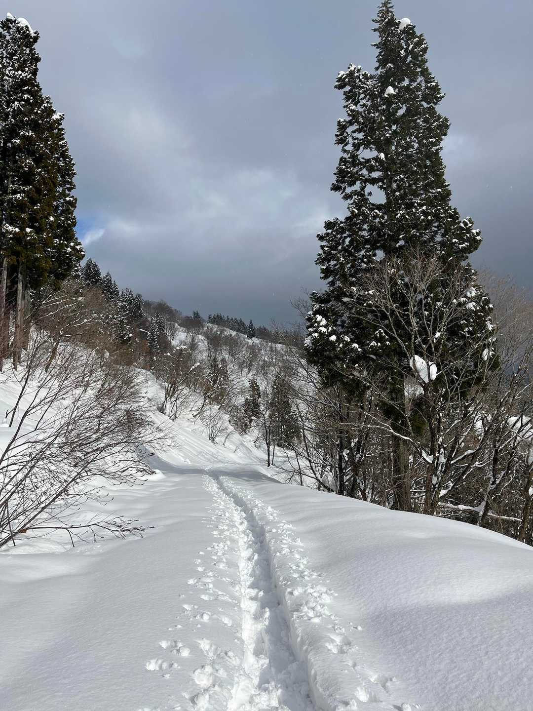 西山 周回コースの写真