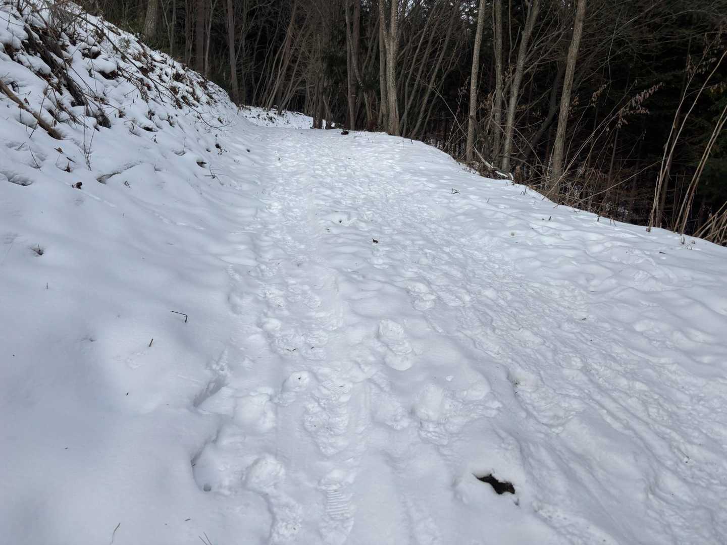 さらに雪が多くなってきてテンション⤴️
キンッと冷えた空気が心地よい✨