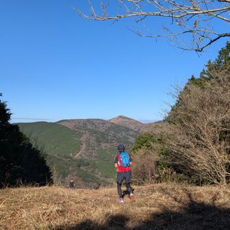 今度は目の前のあれを登ったり下ったり
ため息が出る笑