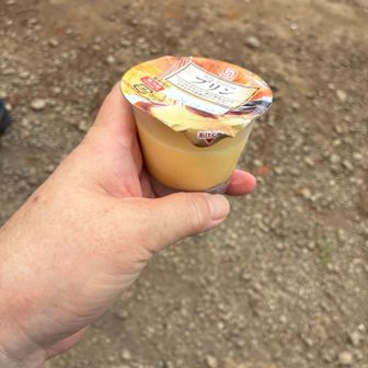 プリン🍮も頂きました。冷えていて最高👍