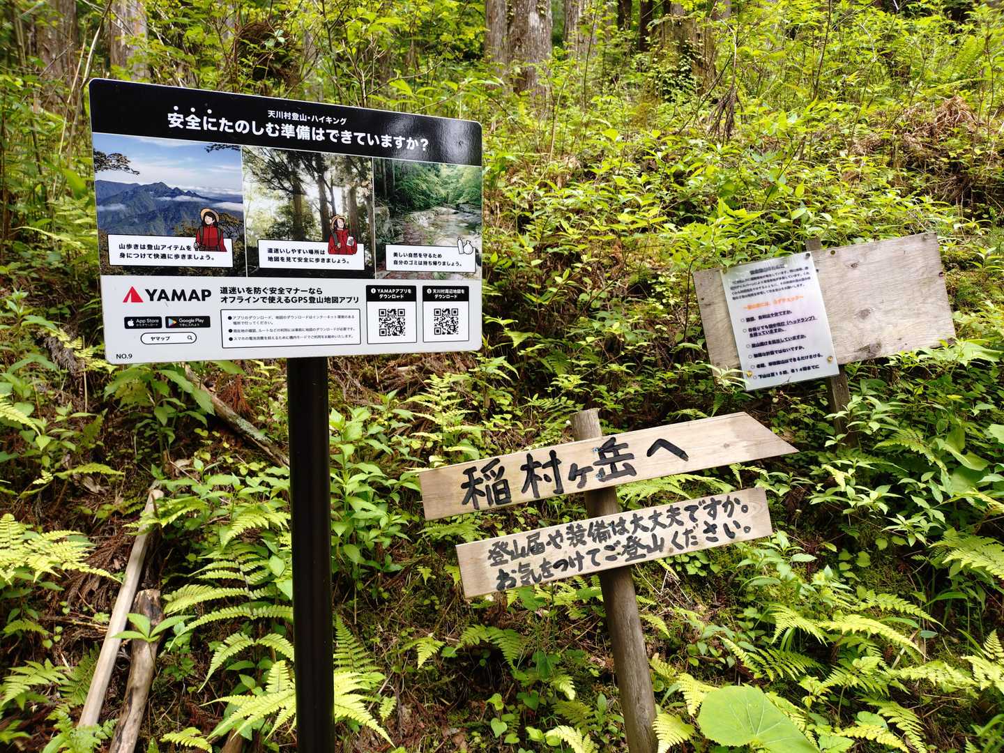 登山口到着。斜面が急ですが、ここが好きなんです。理由は、のちほどｗ
