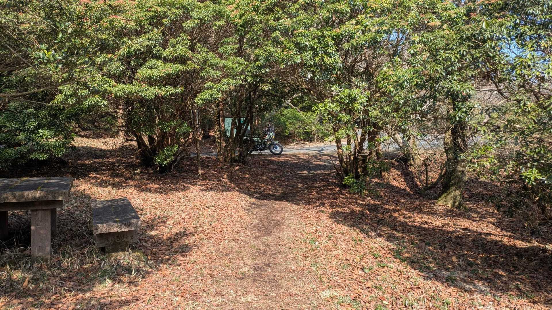 登山口到着です
ここでコーヒータイムを楽しんで孫のダンスを見に帰ります